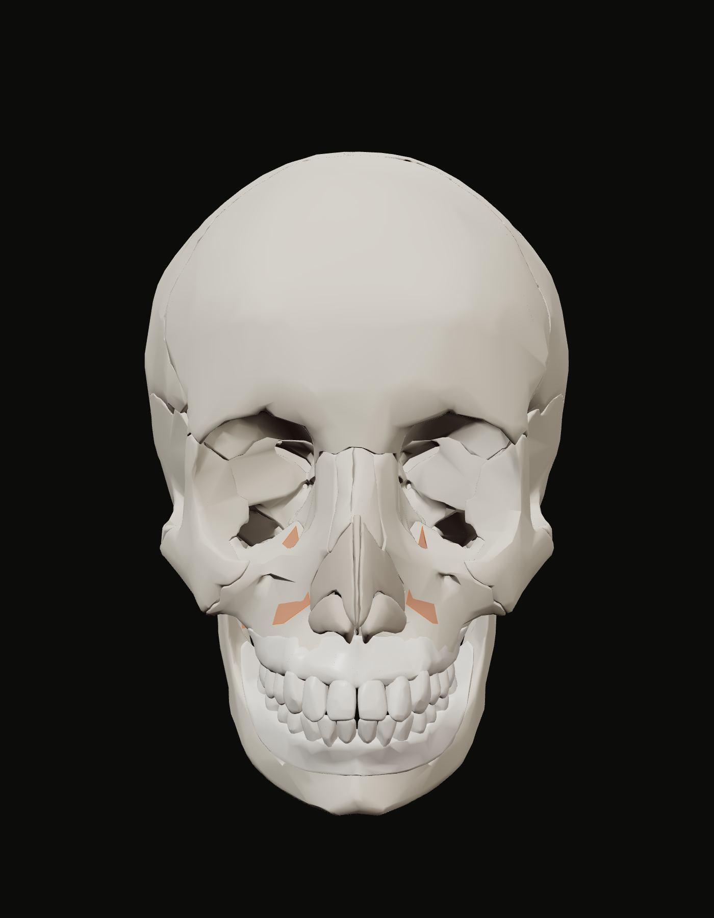 Uplift territory over the anterior maxilla on the reference skull, front view